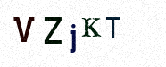 Visual Confirmation Security Code