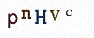 Visual Confirmation Security Code